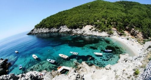 Mljet