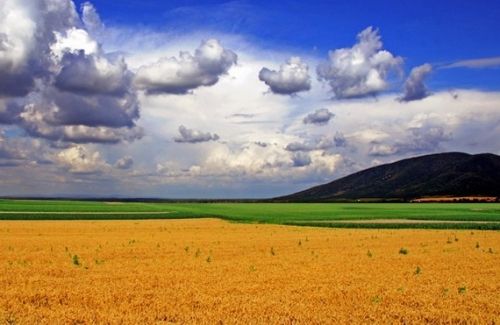 Vukovar, Hırvatistan